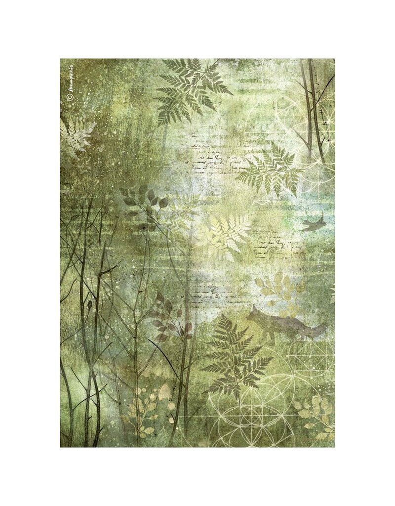 Stamperia A4 Rice paper packed - Forest trees