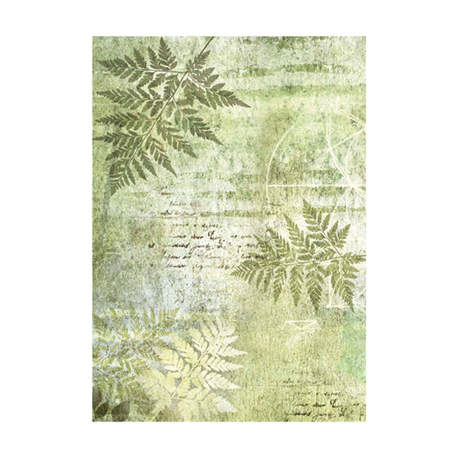 Stamperia Selection 8 Rice paper A6 backgrounds - Forest