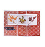 Studio Light SL Unicolor paper pad Shades of orange Essentials nr.232