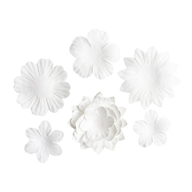 Studio Light Flowers White Consumables nr.13