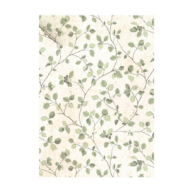 Stamperia Selection 8 Rice paper A6 backgrounds - House of Roses
