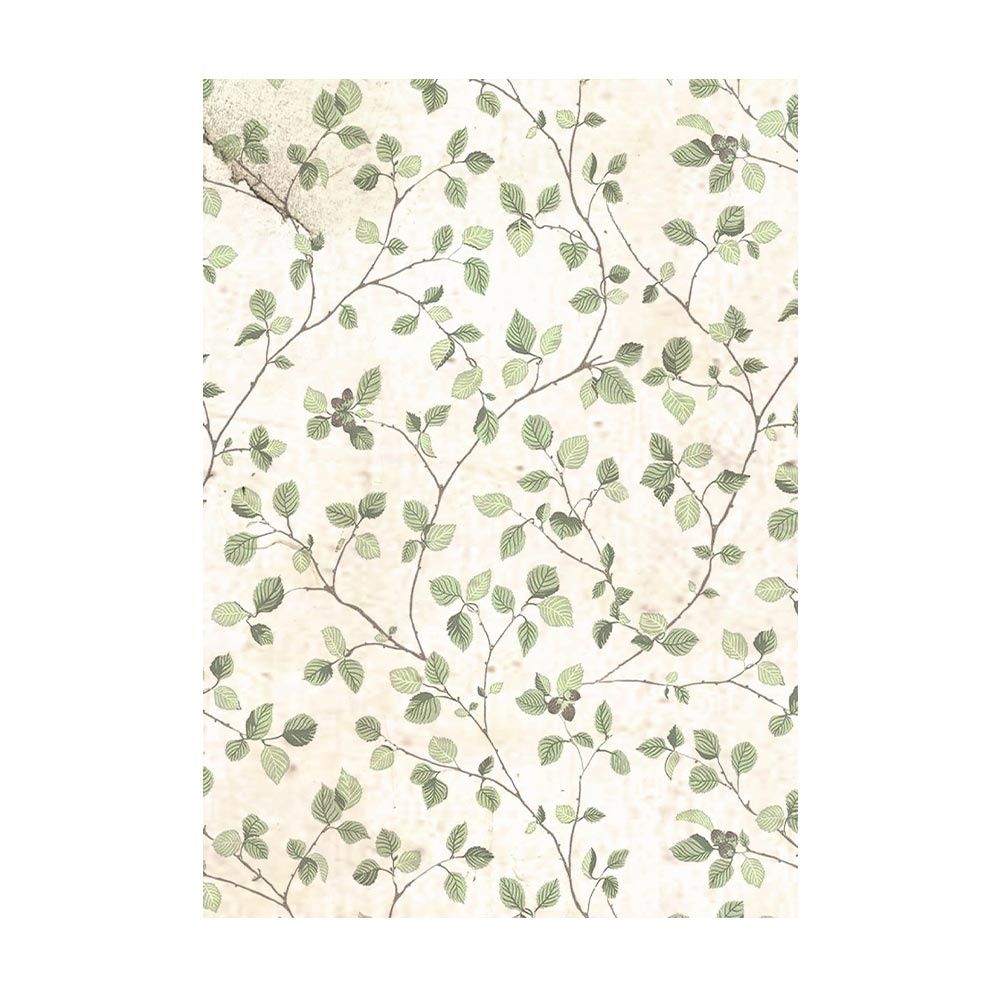 Stamperia Selection 8 Rice paper A6 backgrounds - House of Roses