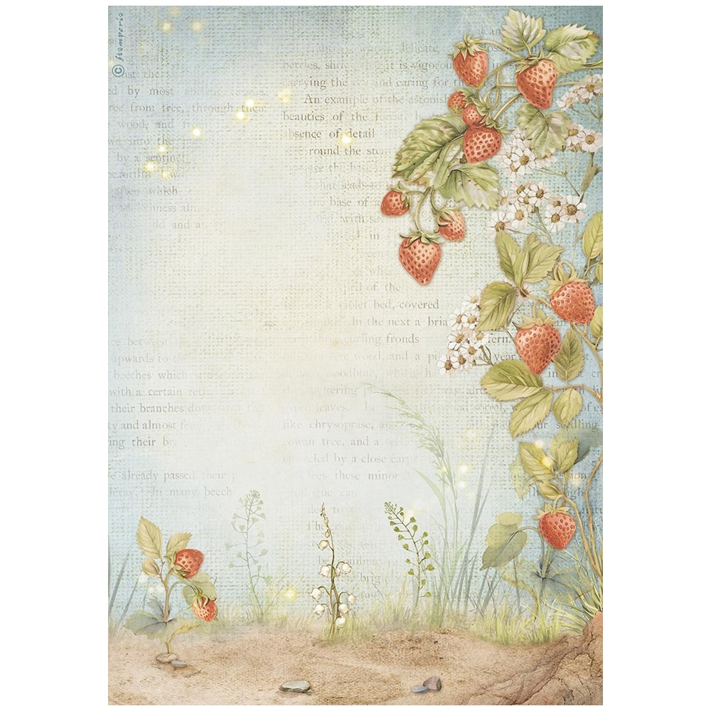 Stamperia A4 Rice paper packed - Hidden Grove strawberries