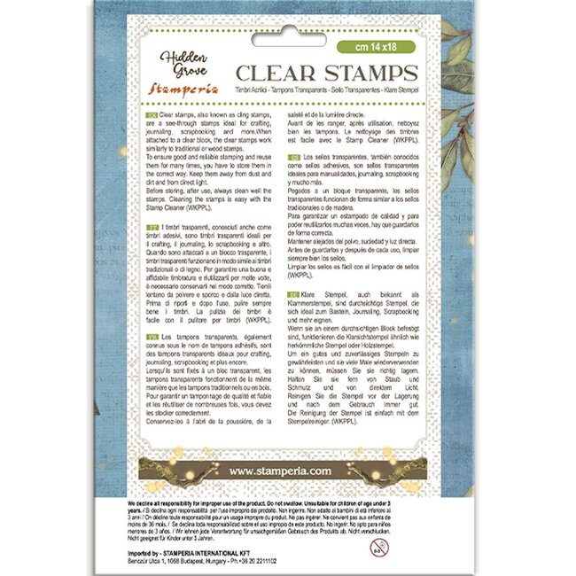 Stamperia Acrylic stamp cm 14x18 - Hidden Grove gnome