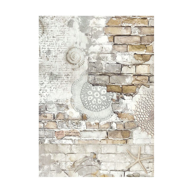 Stamperia Selection 8 Rice paper A6 backgrounds - Silent Sea