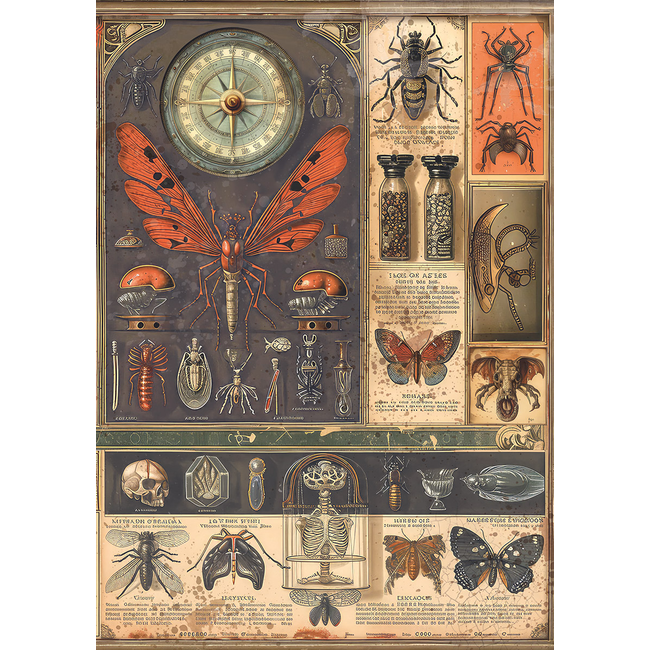 Ciao Bella RICE PAPER A5 MIXED 8/PKG CABINET OF CURIOSITIES