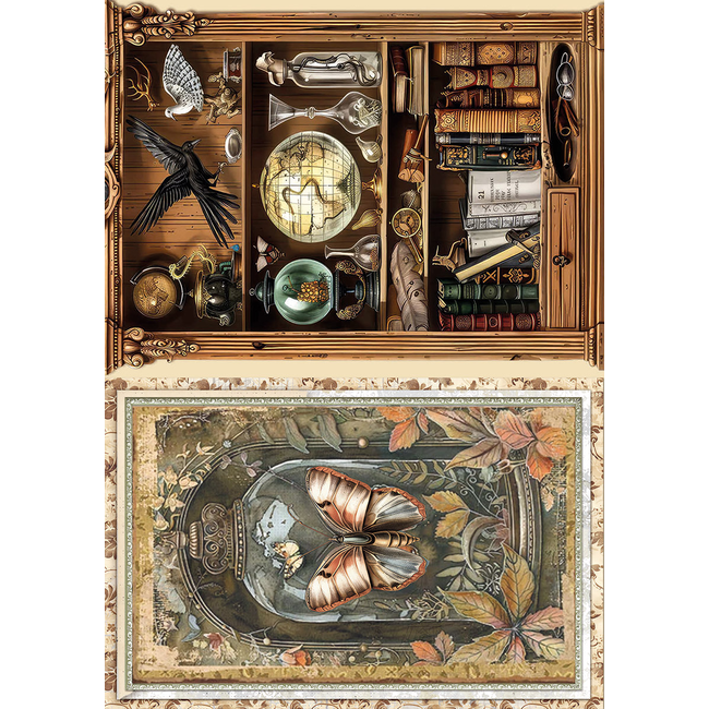 Ciao Bella RICE PAPER A5 MIXED 8/PKG CABINET OF CURIOSITIES