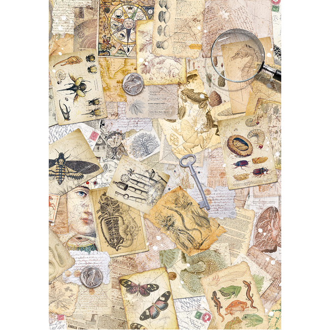 Ciao Bella RICE PAPER A5 MIXED 8/PKG CABINET OF CURIOSITIES