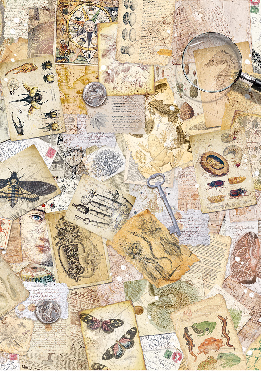 Ciao Bella RICE PAPER A5 MIXED 8/PKG CABINET OF CURIOSITIES