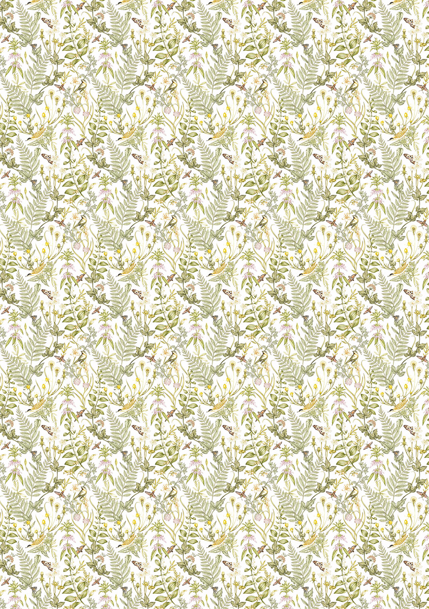 Ciao Bella RICE PAPER A5 MIXED 8/PKG SECRET GARDEN