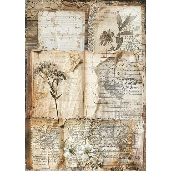 Ciao Bella RICE PAPER A5 MIXED 8/PKG CODEX