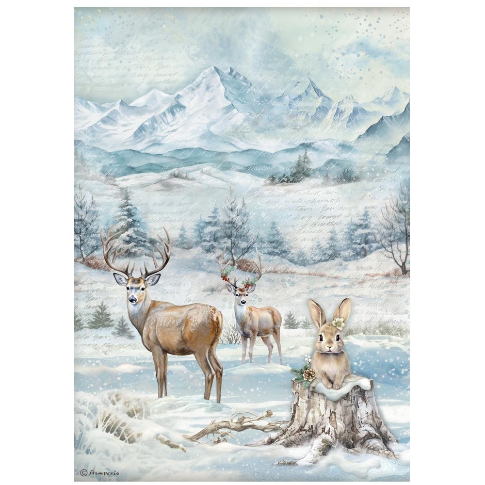 Stamperia Selection 6 Rice paper A4 - The Owl's House