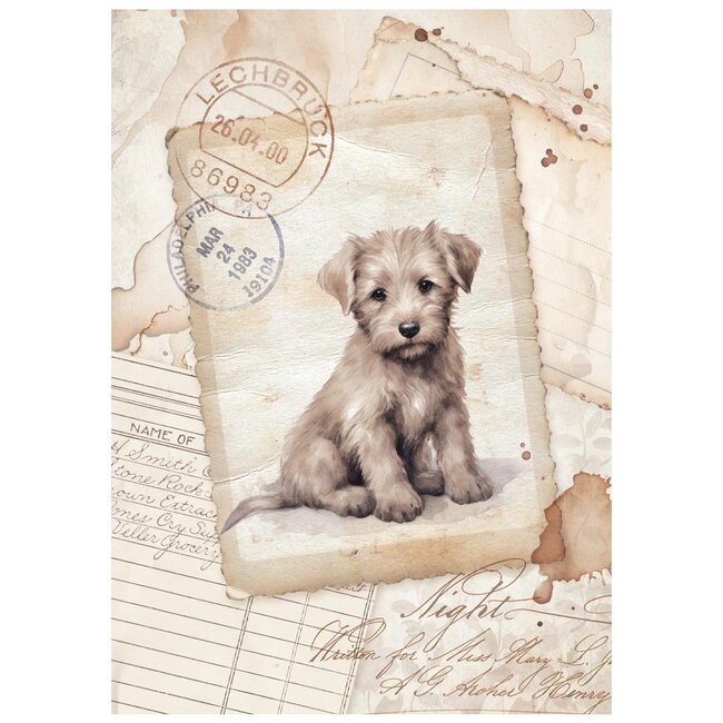 Stamperia Mini Rice paper A6 8 sheets  Quiet Days