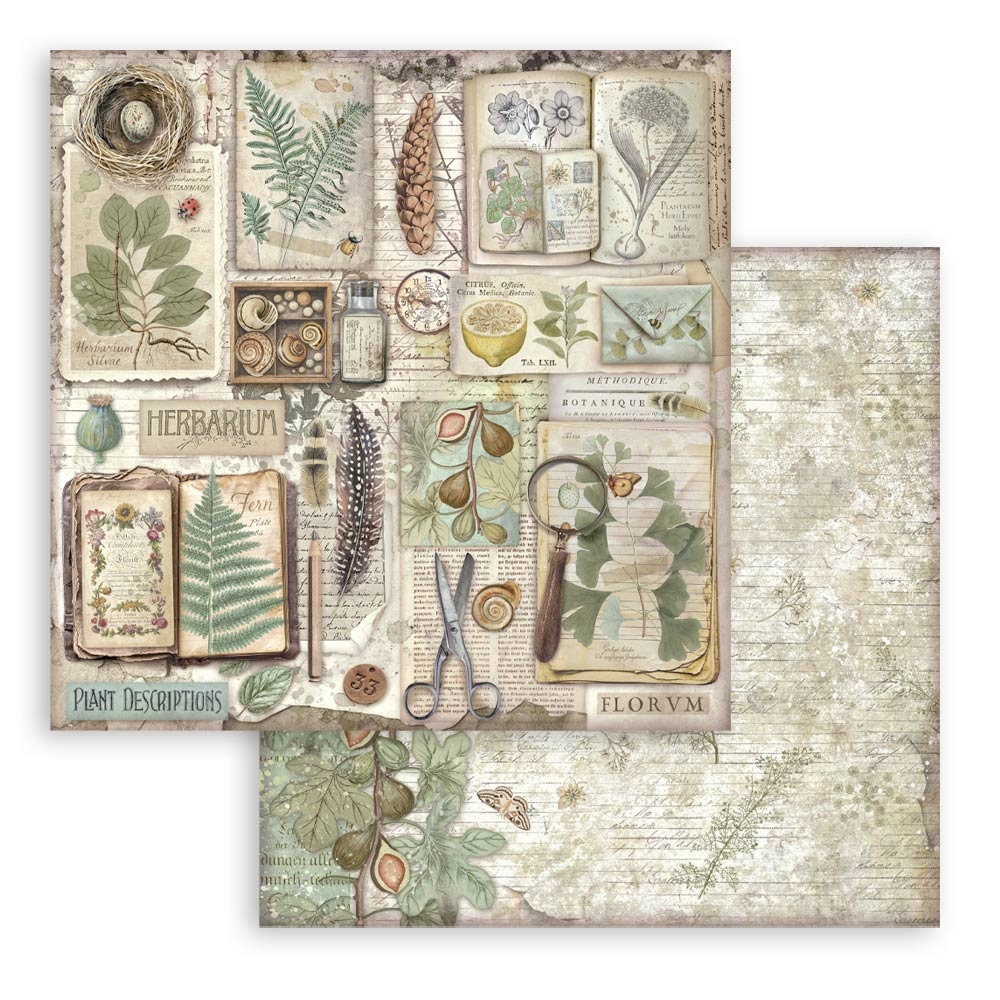 Stamperia Scrapbooking Small Pad 10 sheets cm 20,3X20,3 (8"X8") - Herbarium Silvae