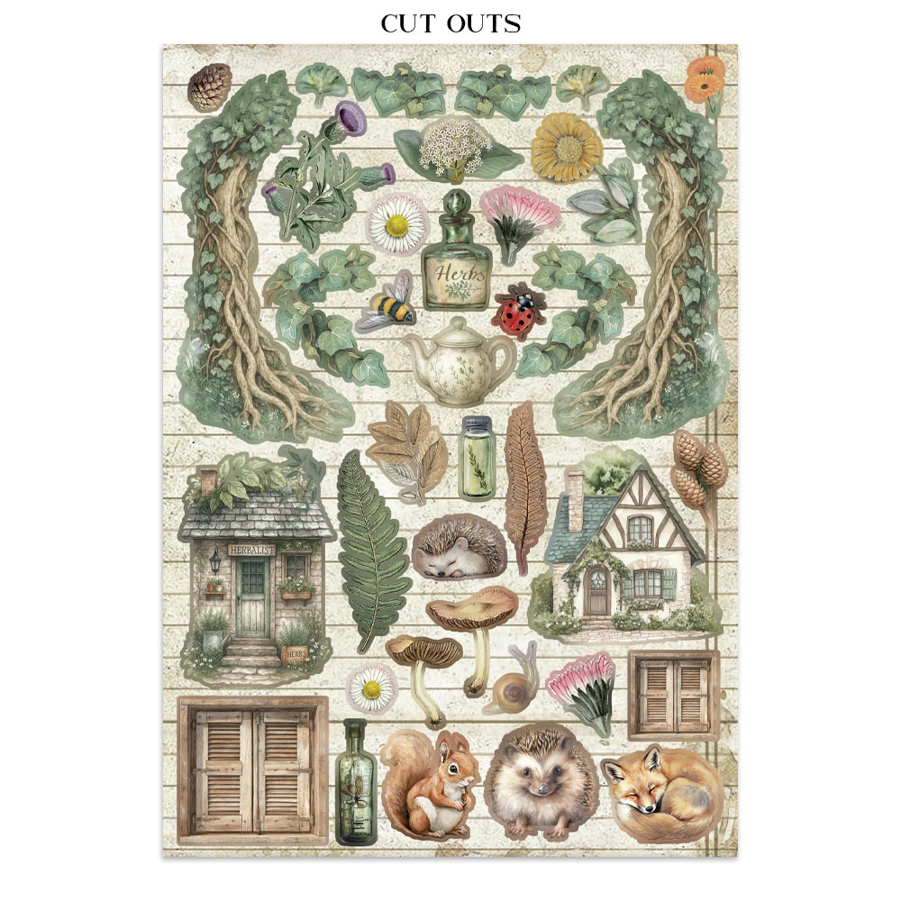 Stamperia Junk journal stickers, cut-outs, backgrounds - Herbarium Silvae