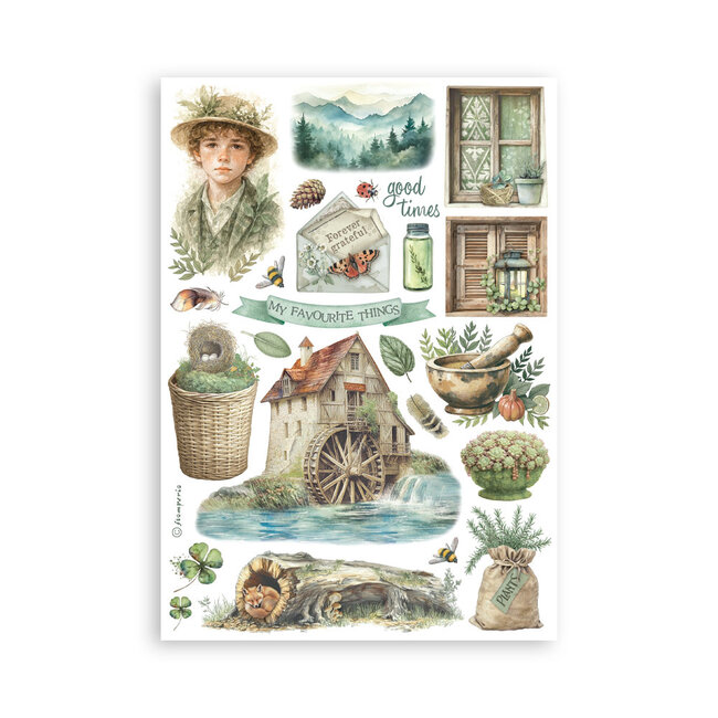 Stamperia Washi pad 8 sheets A5 - Herbarium Silvae