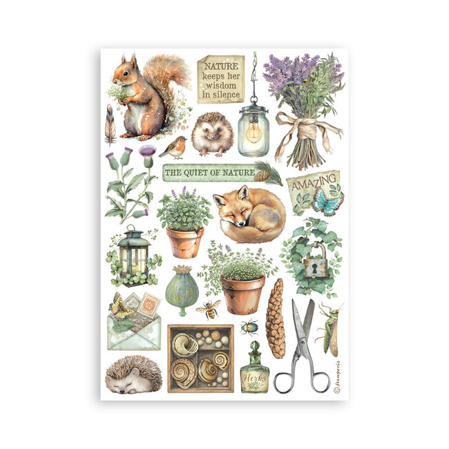 Stamperia Washi pad 8 sheets A5 - Herbarium Silvae
