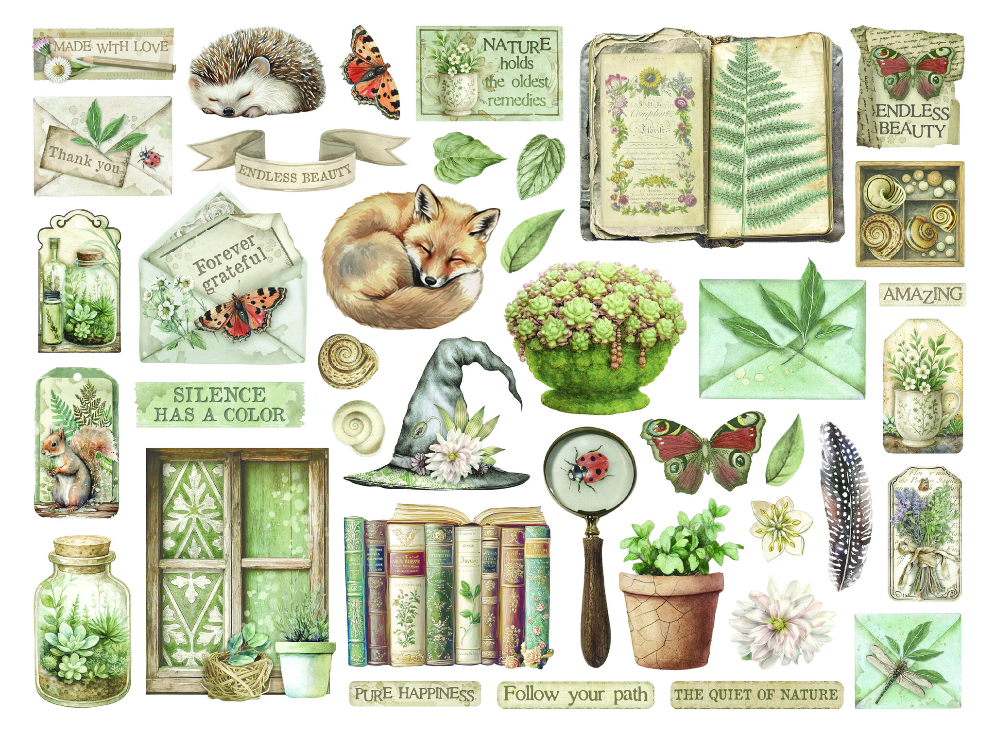 Stamperia Die cuts assorted - Herbarium Silvae