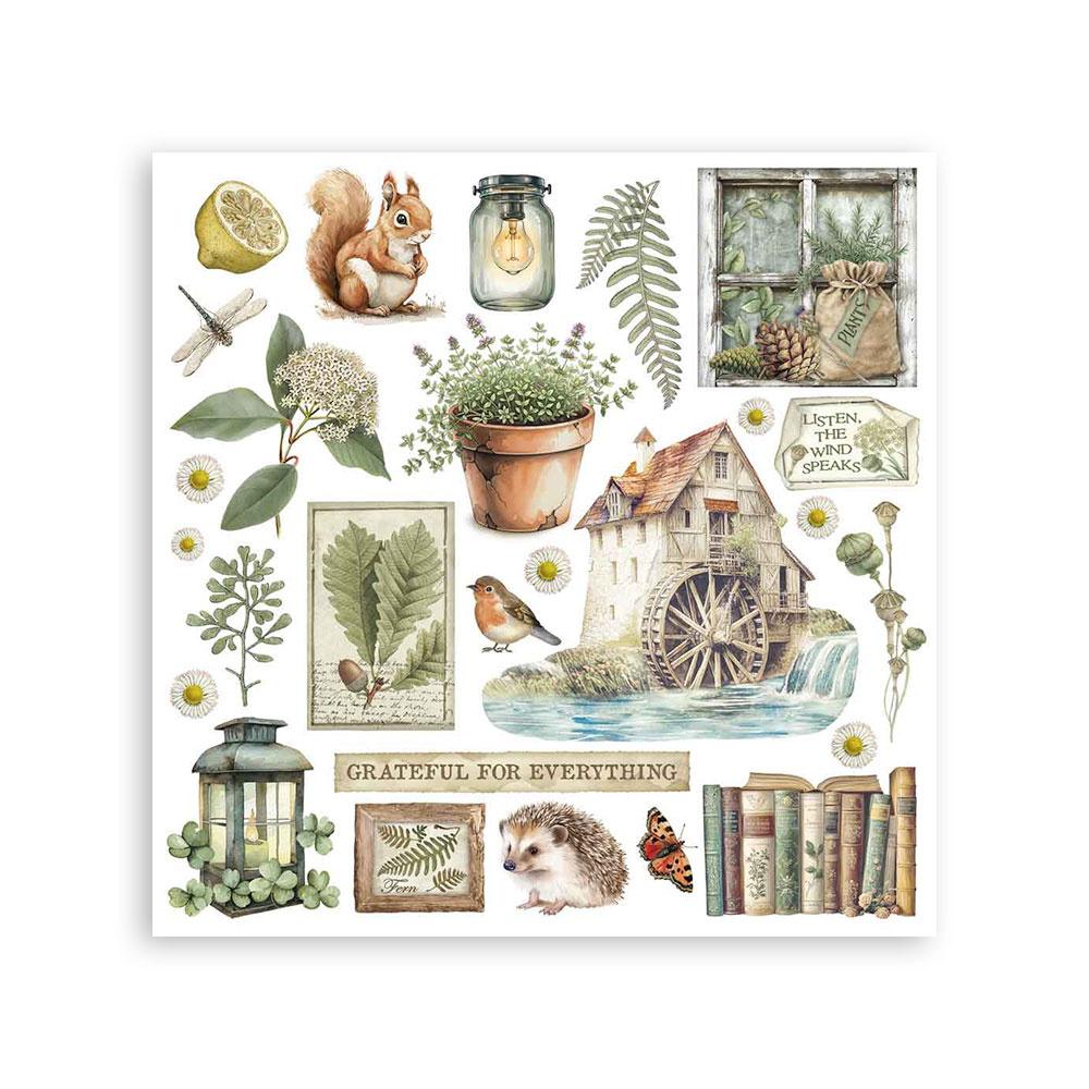 Stamperia Rub on kit cm 15,5x15,5 - 6 pages Herbarium Silvae