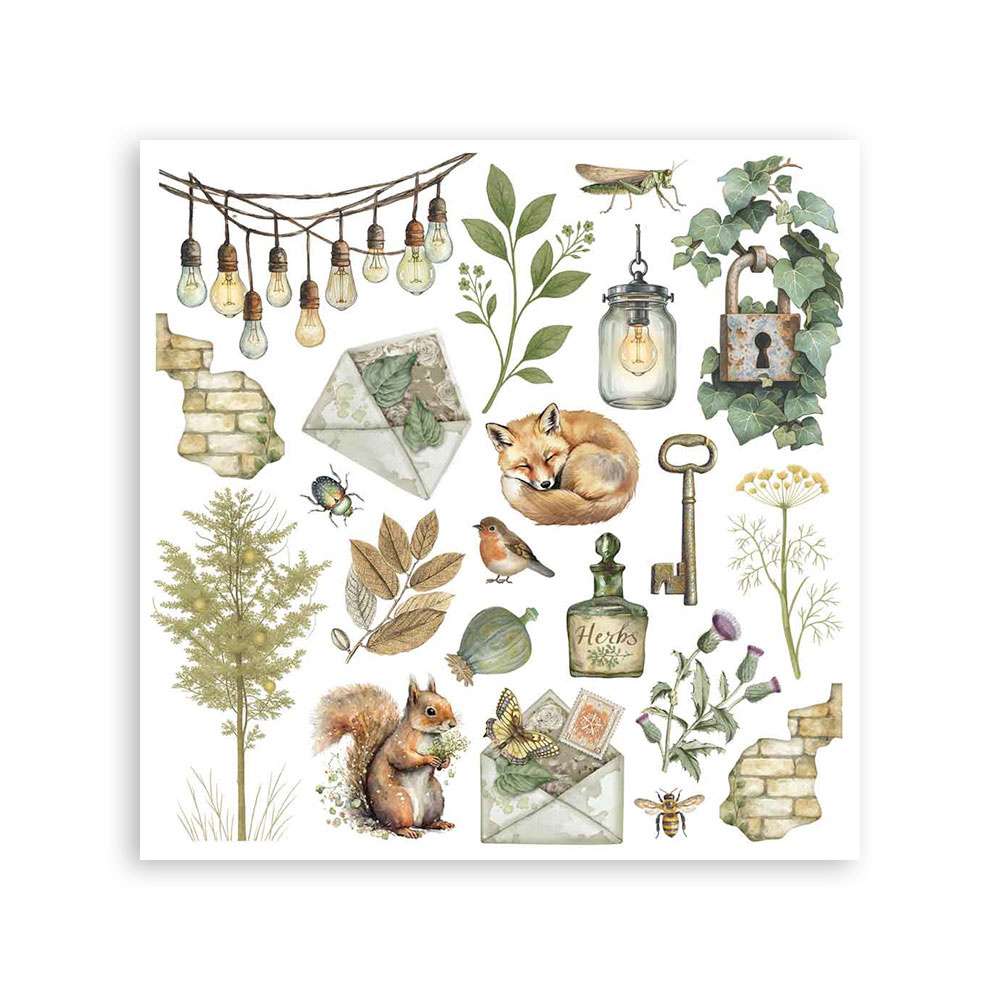 Stamperia Rub on kit cm 15,5x15,5 - 6 pages Herbarium Silvae