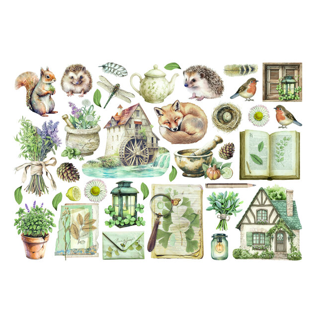 Stamperia Ephemera  - Herbarium Silvae