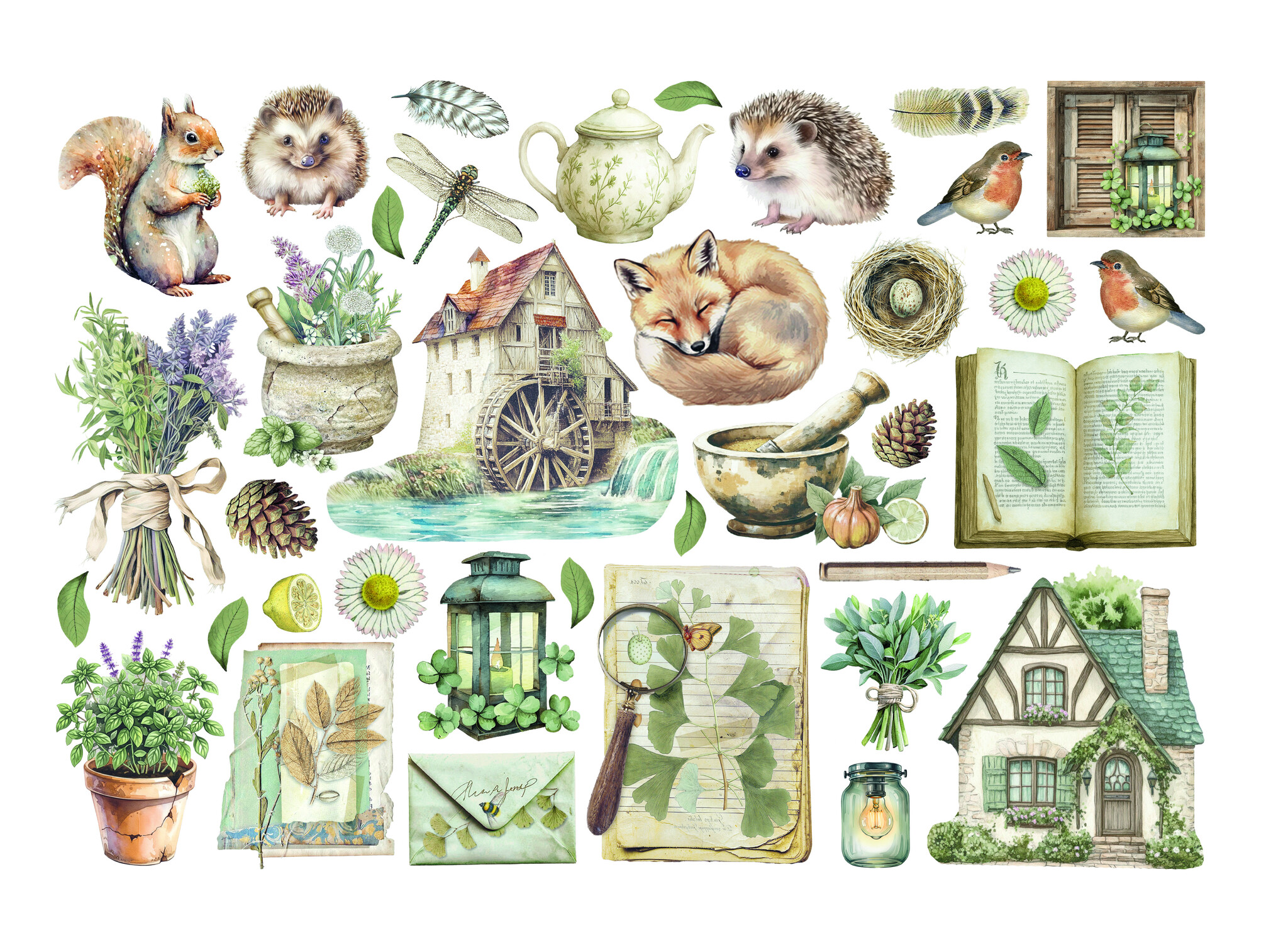 Stamperia Ephemera  - Herbarium Silvae