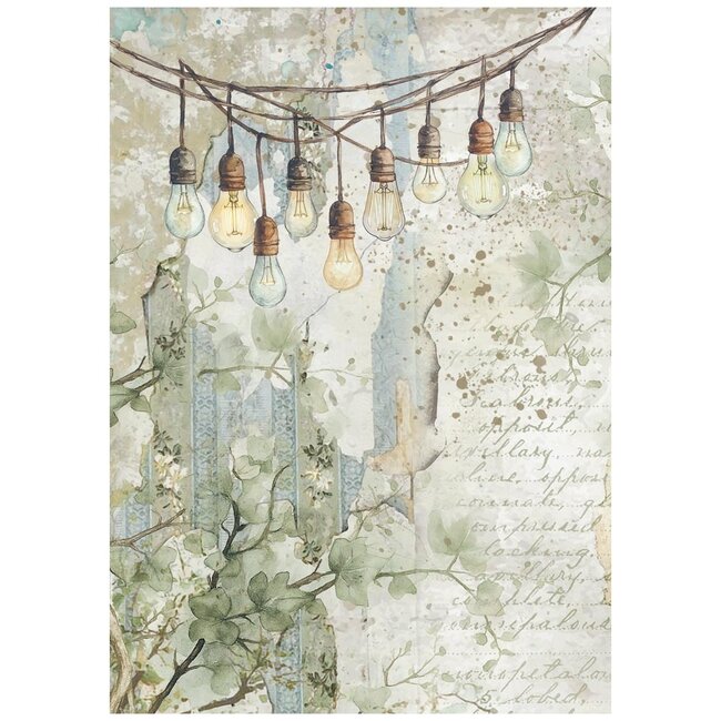 Stamperia Selection 8 Rice paper A6 backgrounds Herbarium Silvae