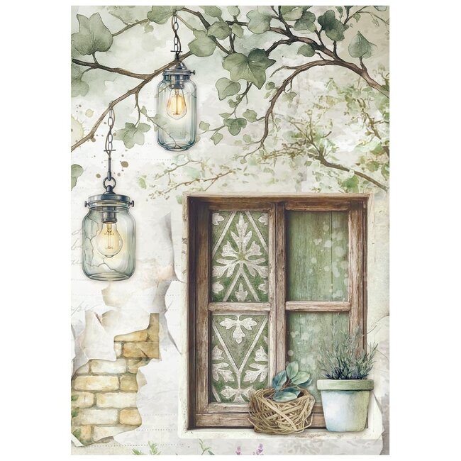 Stamperia Mini Rice paper A6 8 sheets  Herbarium Silvae