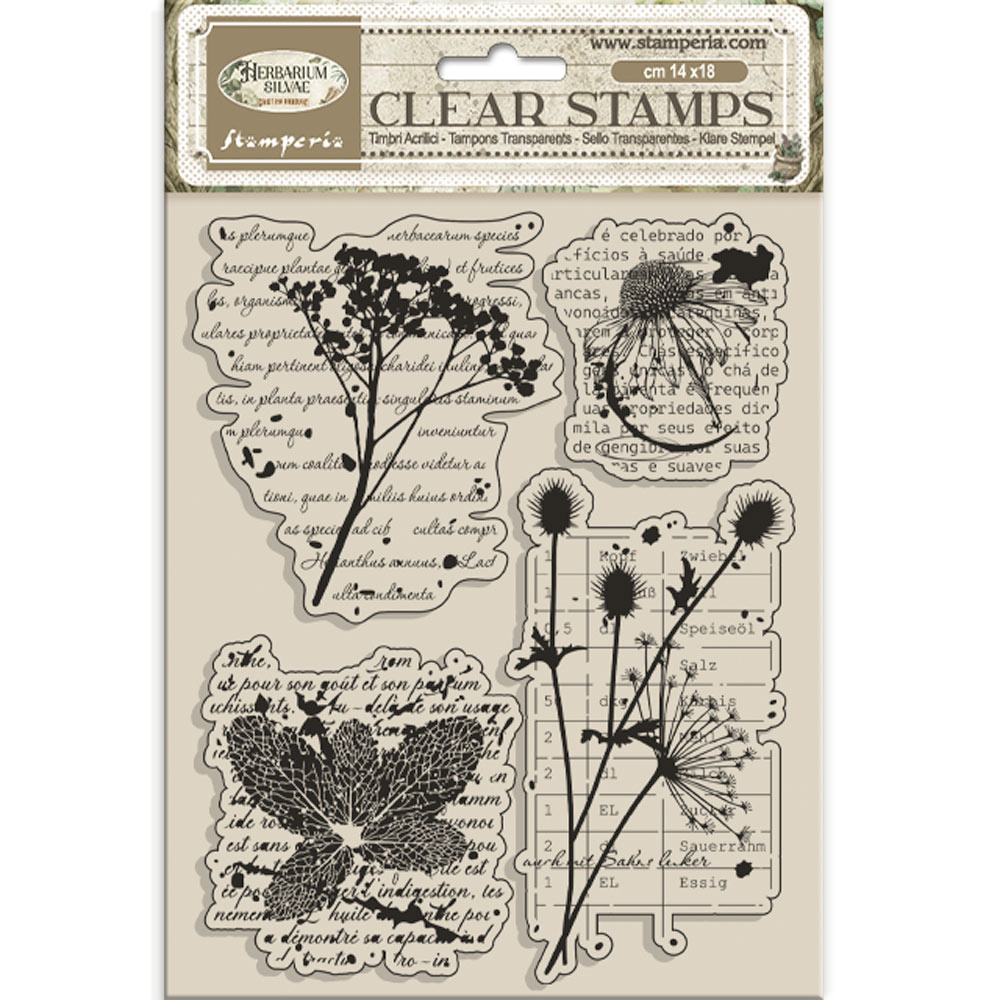 Stamperia Acrylic stamp cm 14x18 - Herbarium Silvae botanic