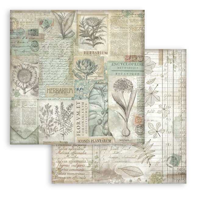 Stamperia Scrapbooking Small Pad 10 sheets cm 20,3X20,3 (8"X8") Backgrounds Selection - Herbarium Silvae