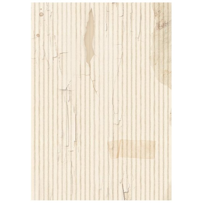 Stamperia Selection 8 Rice paper A6 backgrounds Family