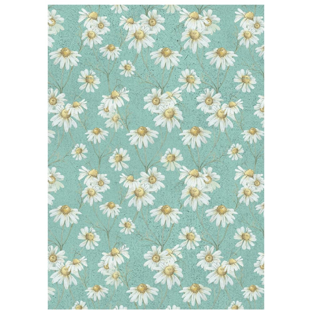 Stamperia Selection 8 Rice paper A6 backgrounds Daisy Art