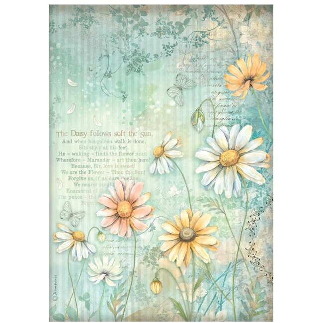 Stamperia Selection 6 Rice paper A4 - Daisy Art