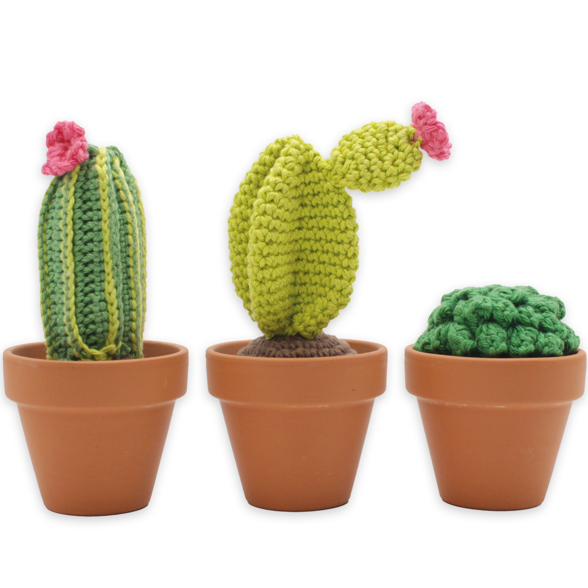 Hardicraft Haakpakket Cactussen - Amigurumi DIY Kit