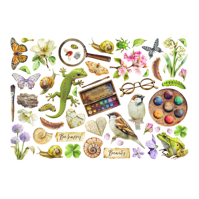 Stamperia Printed Decorative Ephemera for Art and Craft - All Around