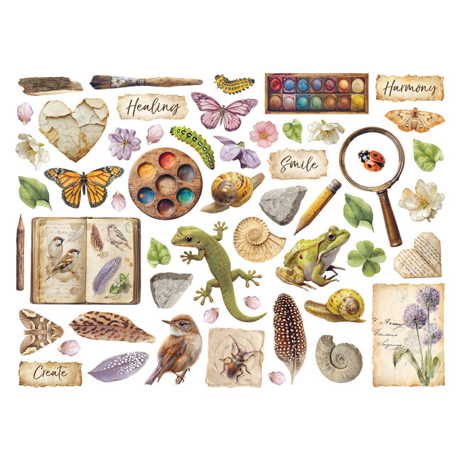 Stamperia Printed decorative Die cuts for Art and Craft -  All Around