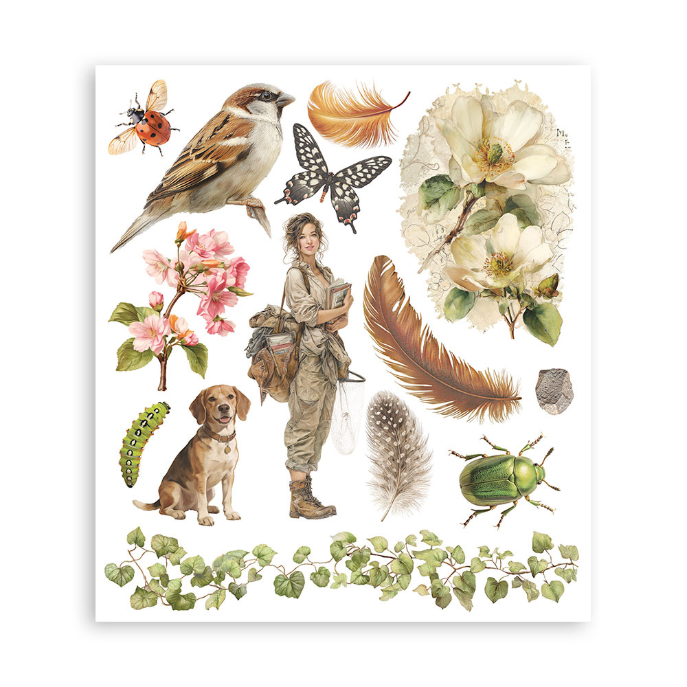 Stamperia Printed Decorative Rub on selection for Art and Craft cm 20,5x23 - All Around
