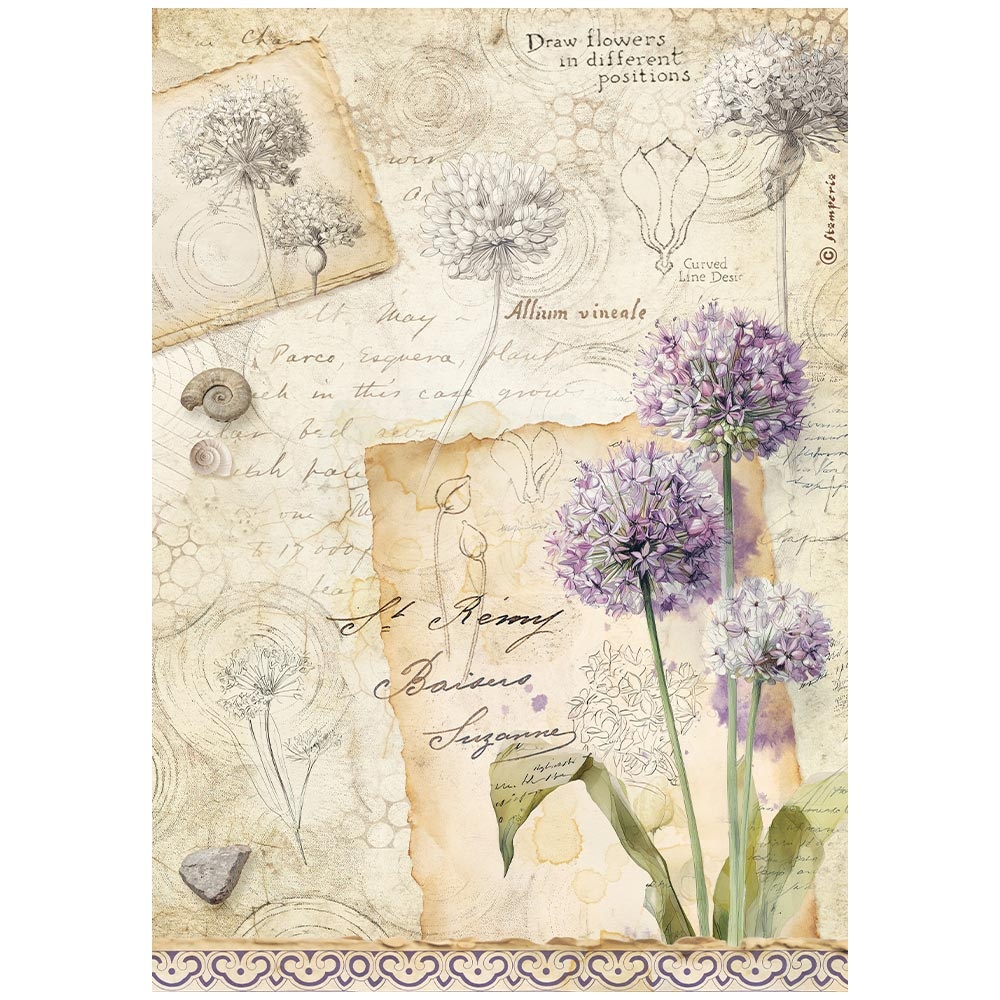Stamperia Printed A4 Rice paper for Art and Craft - All Around Allium