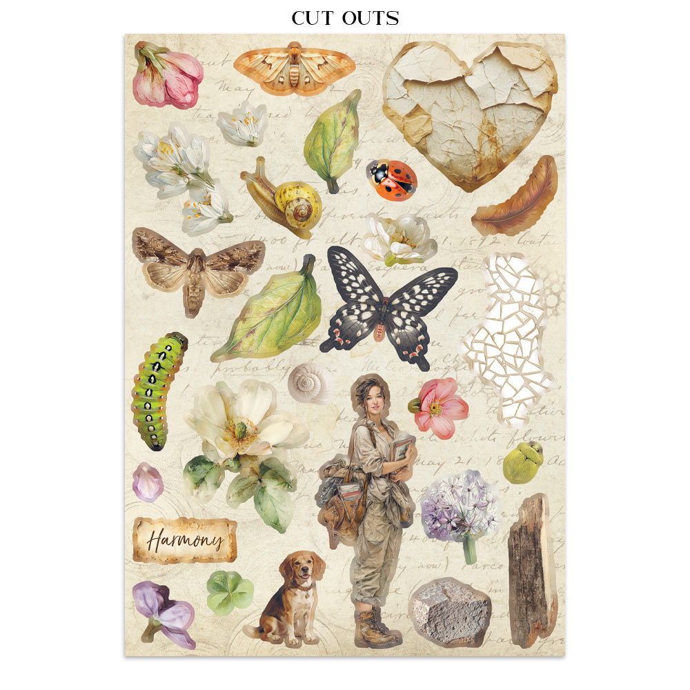 Stamperia Printed Art Junk journal: stickers, cut-outs, backgrounds for Art and Craft - All Around