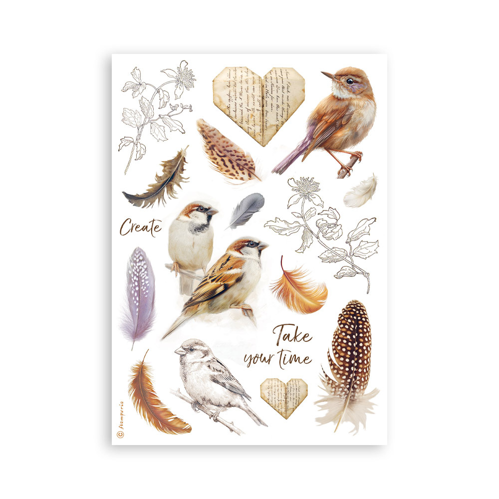 Stamperia Printed Washi pad for Art and Craft A5 8 sheets - All Around