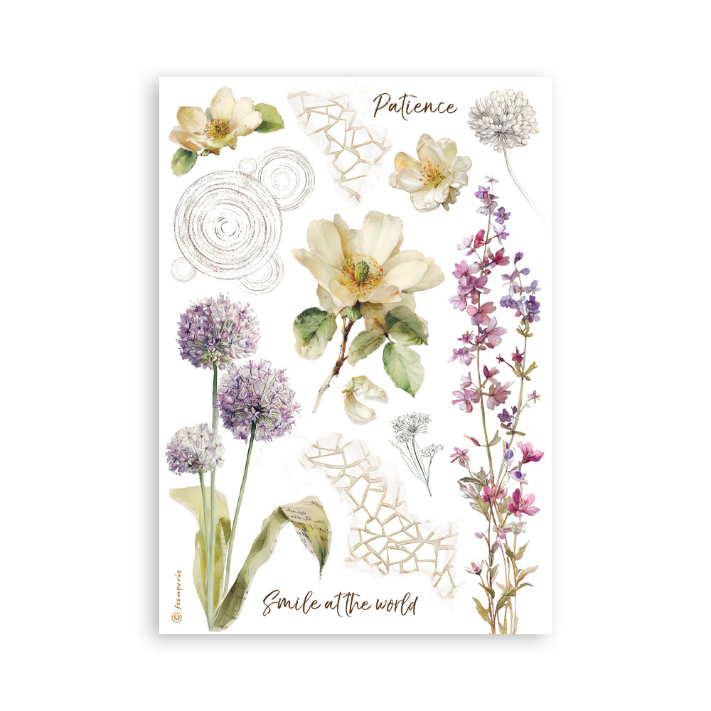 Stamperia Printed Washi pad for Art and Craft A5 8 sheets - All Around