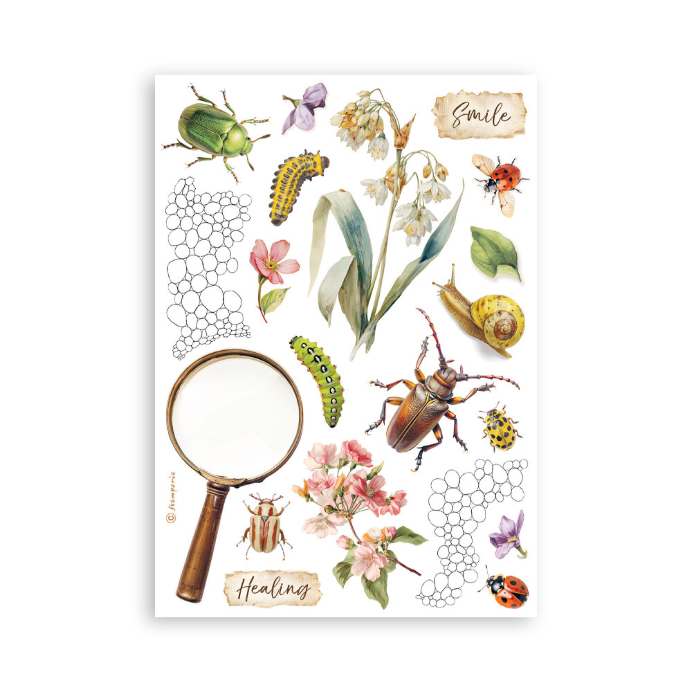 Stamperia Printed Washi pad for Art and Craft A5 8 sheets - All Around