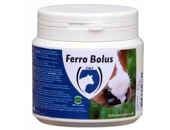 Ferro Bolus 24 stuks