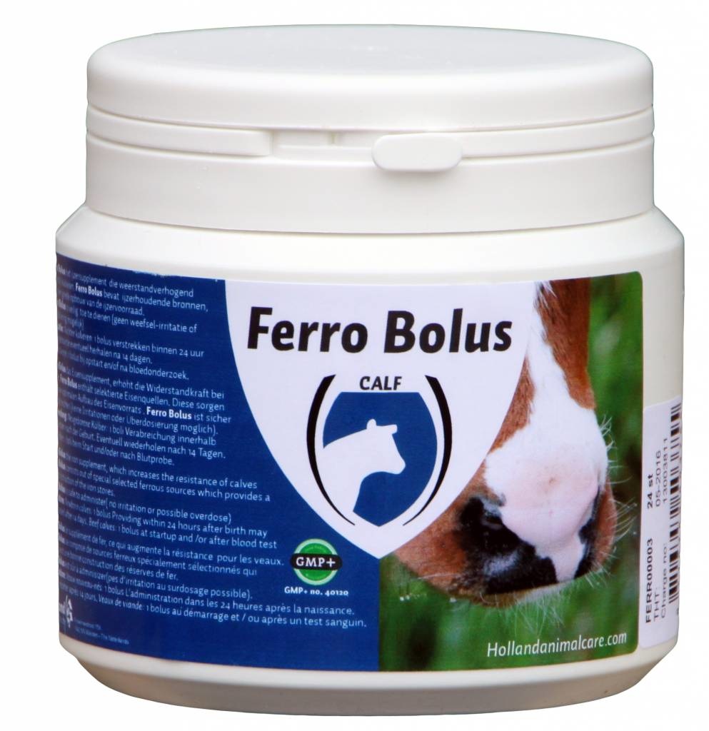 Ferro Bolus 24 stuks