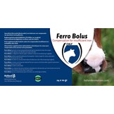 Ferro Bolus 24 stuks