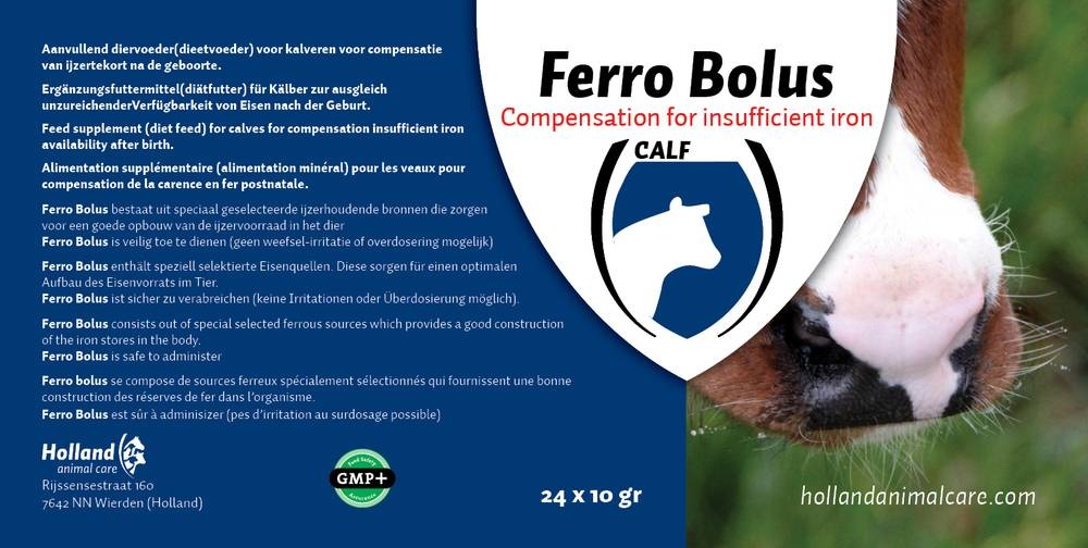Ferro Bolus 24 stuks