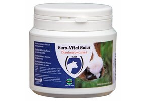 Euro-Vital Bolus 24 stuks