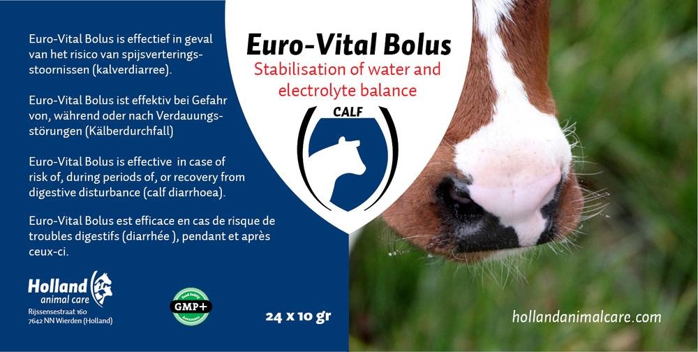 Euro-Vital Bolus 24 stuks