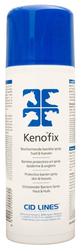 KenoFix Spray 300ml