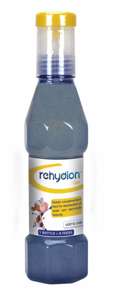Rehydion Gel 320ml